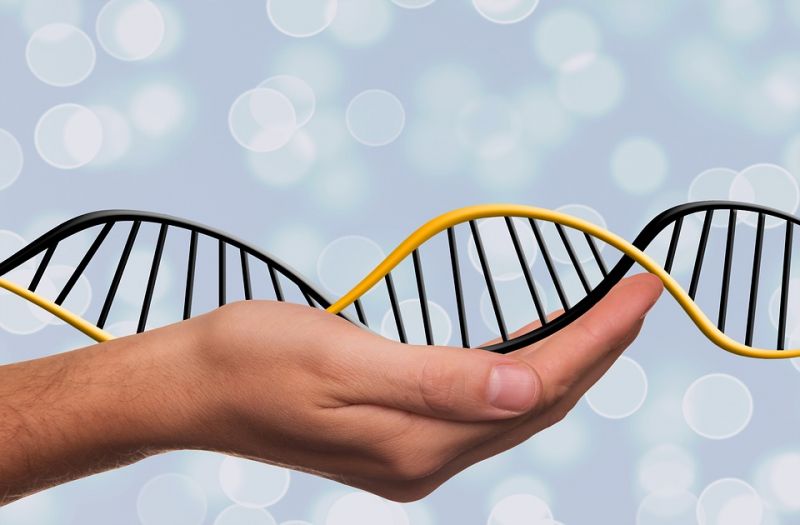 Deoxyribonucleic-Acid-Dna-Symbol-Dns-Genetics-1500076.jpg